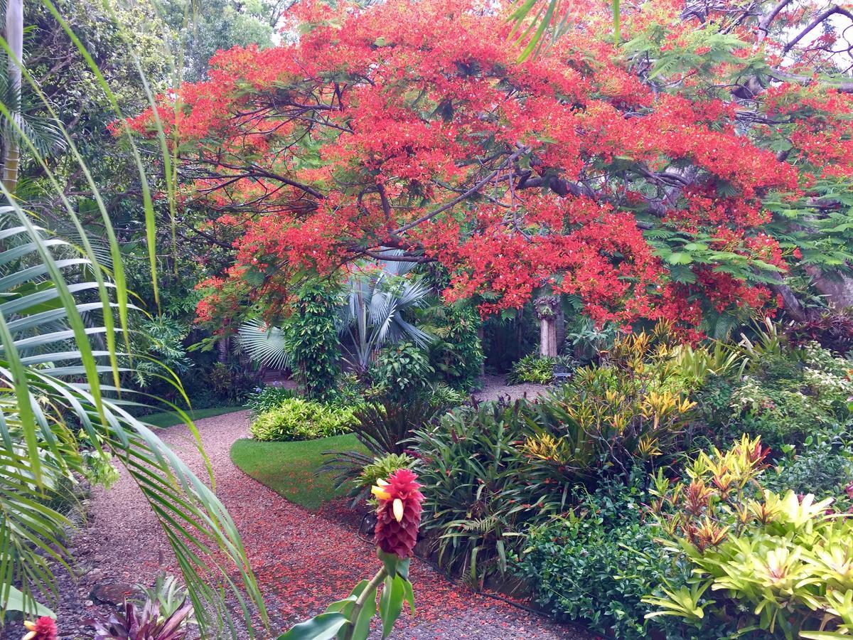 Eden Rest Bed & Breakfast Cooroy Exterior photo
